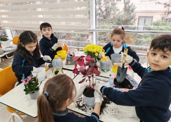 Güləkmə aksiyası keçirilib